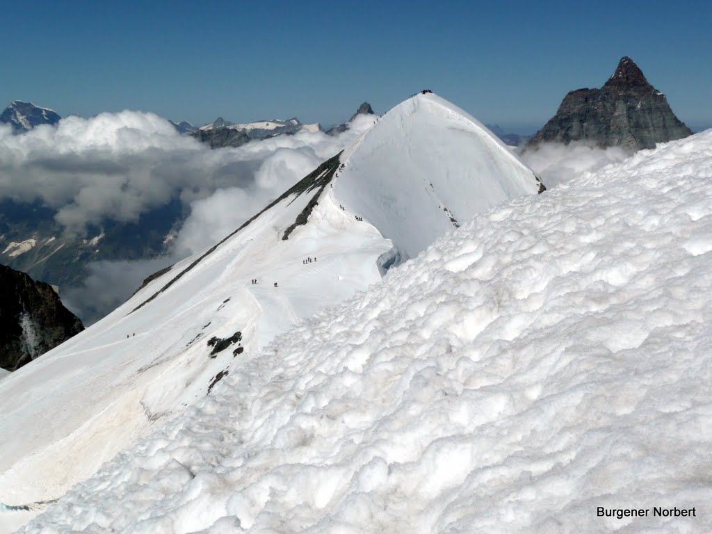 Breithorn mit Matterhorn. by Burgener  Norbert