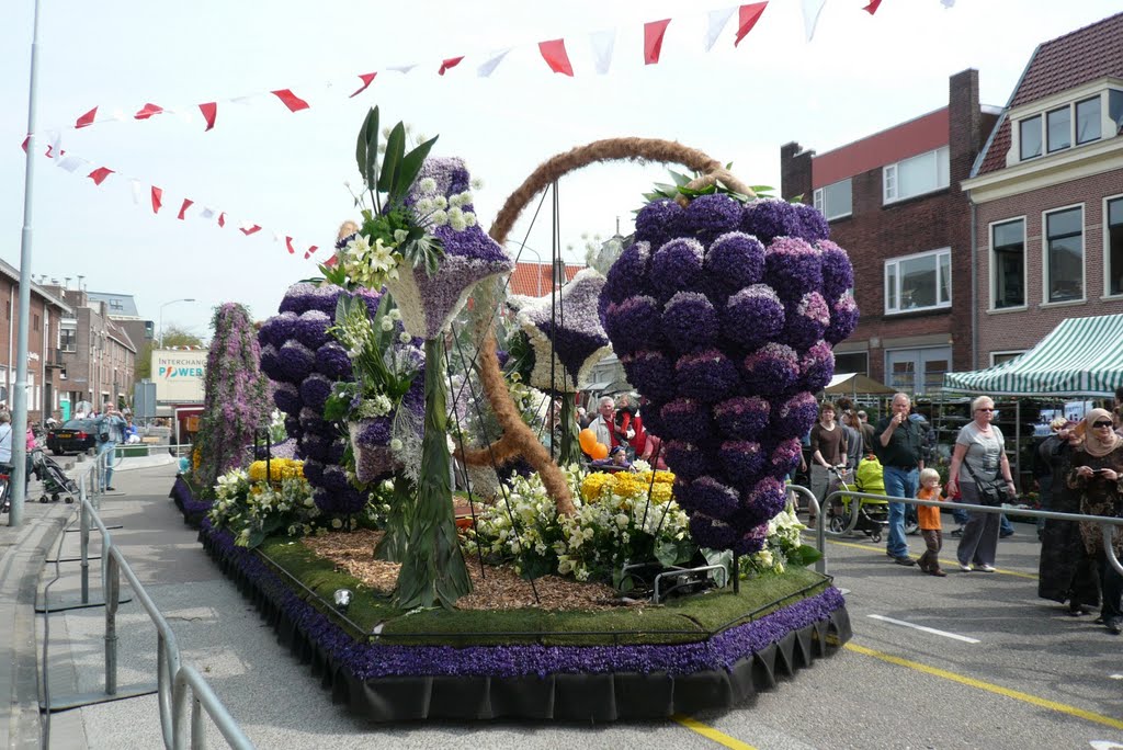 Blumencorso Floats In Haarlem by njellis