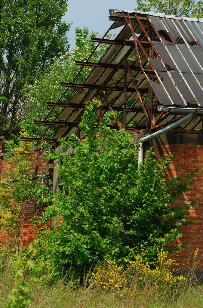 Antwerp, the disused firing range at the old 'Luchtbal' military baracks on 15 May 2010 by larry_antwerp