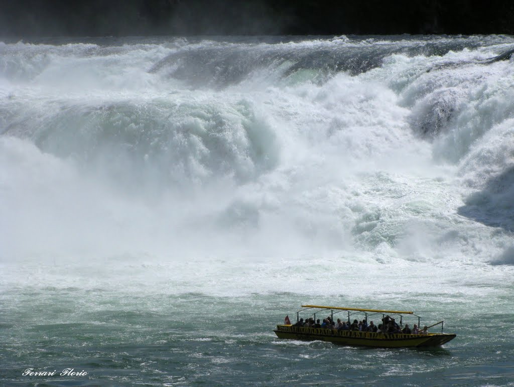 Cascate del Reno by Airone