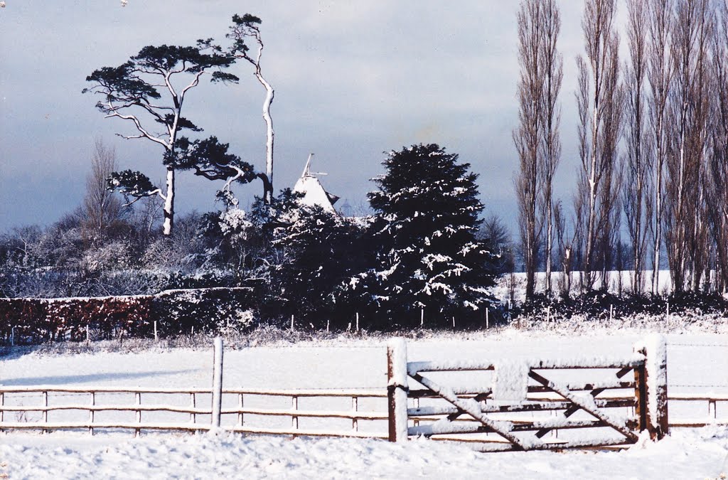 Winter by Lady Martine