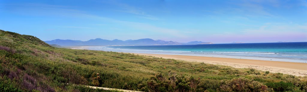 Sandy Beach - Victoria by Brian Shirtliff