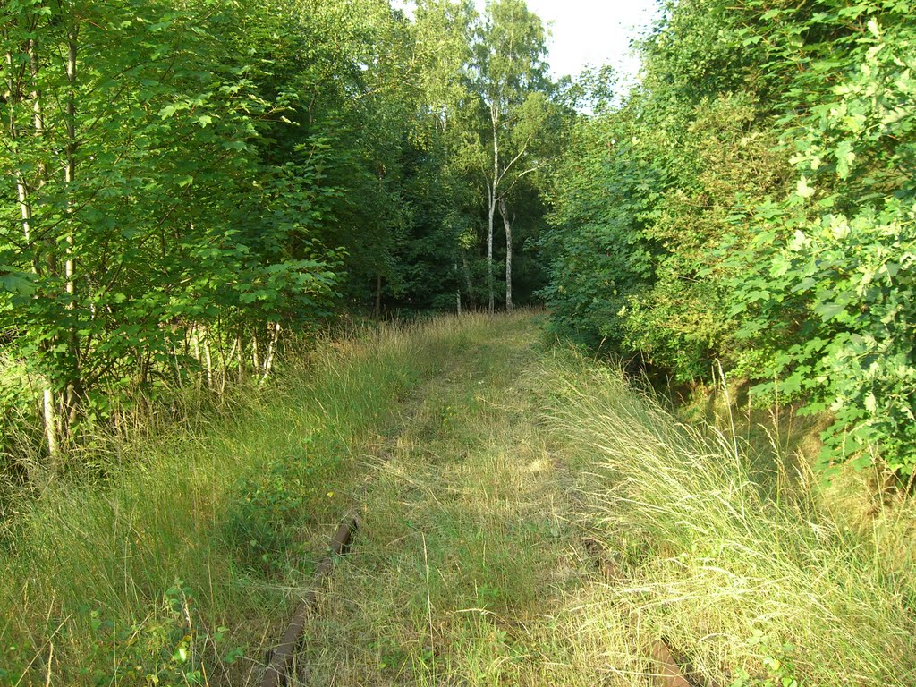 Die letzten Meter zur ehem. Autobahnbrücke by Schmalspur Sa.