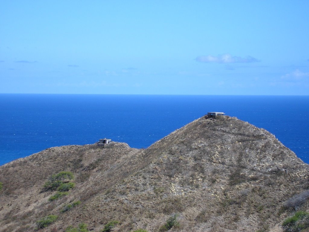 Diamond Head by Mikey