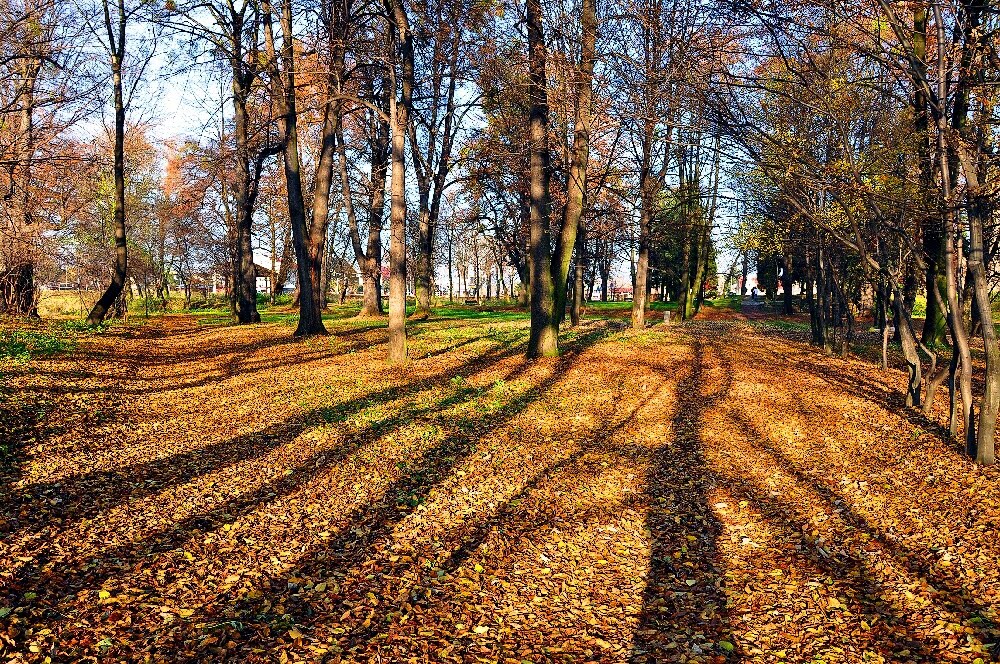 Chałupki-park by broart - Bronek