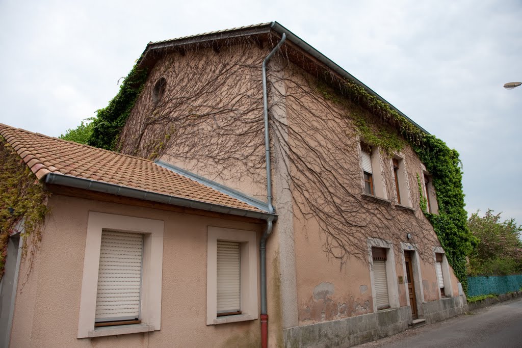 Rue du Pont, Sampigny by Cyril Auboin