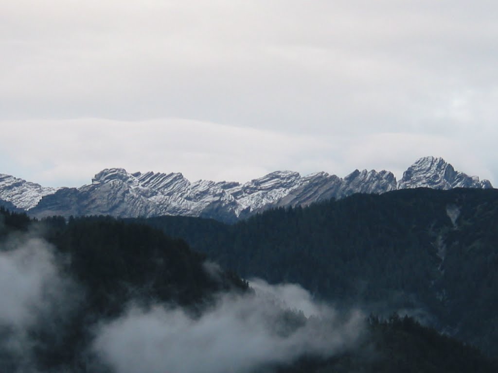 Snow in August by Roberto.Divia