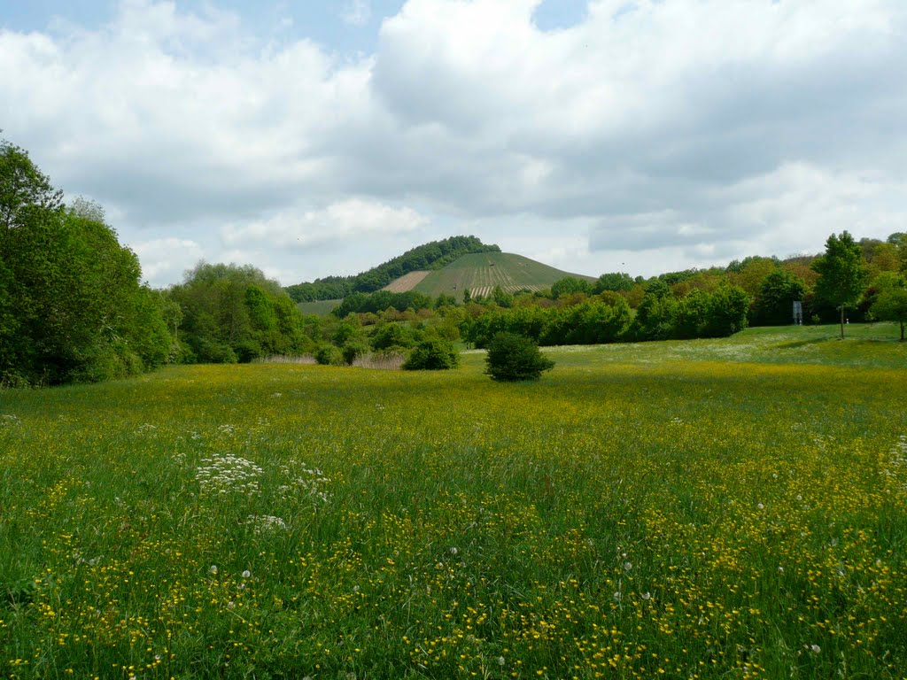 Blick in Richtung Eberstadt by resslinger