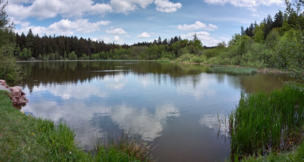 Mülbener See Panorama by matthiashn