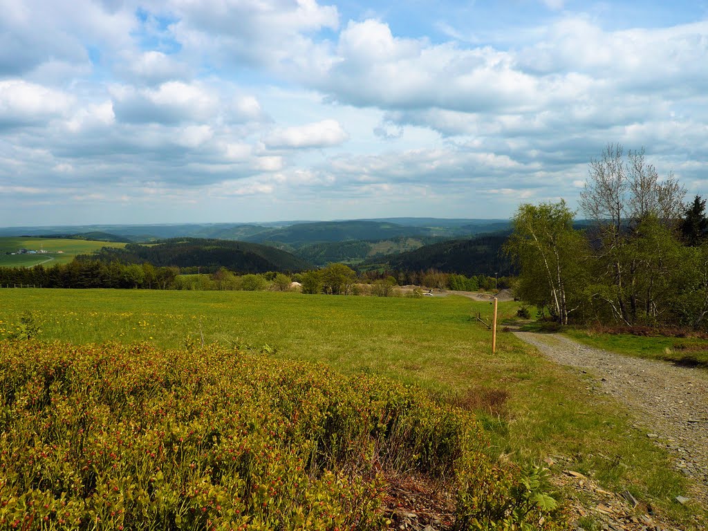 Blick beim Leipziger Turm by loop81