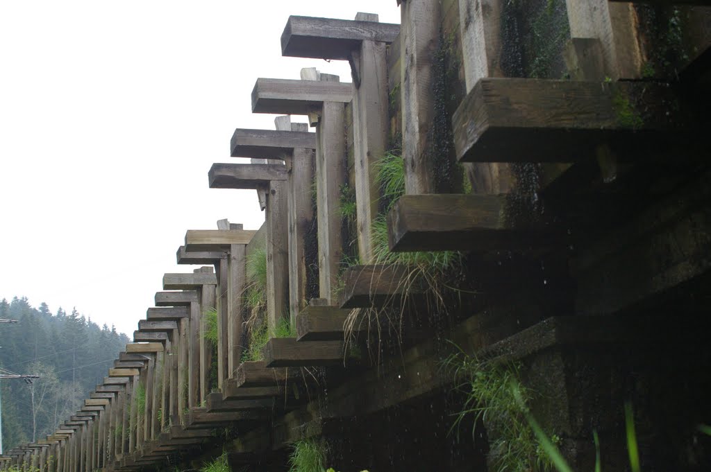 Old Wooden Canal, Cenkova Pila, Sumava by Milo Burdats