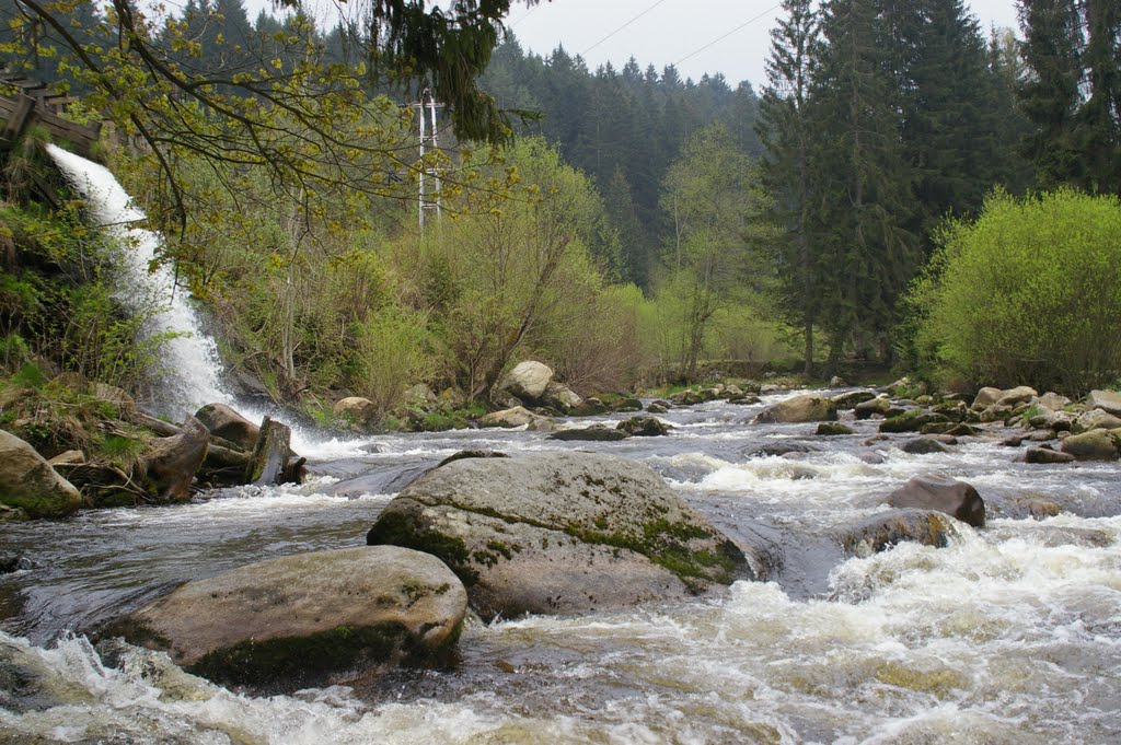 Last metres of Vydra River, Sumava by Milo Burdats