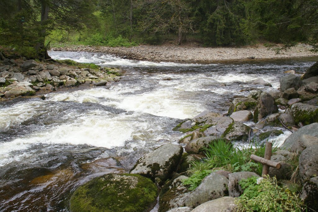 Confluence of Vydra and Kremelna, Sumava by Milo Burdats