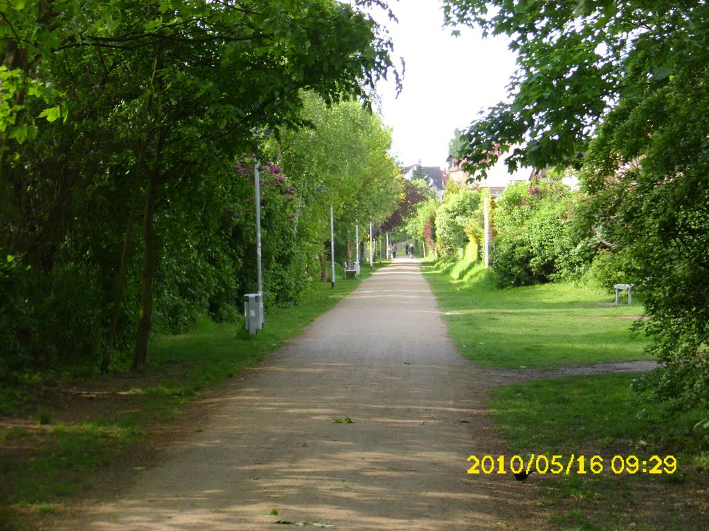 Ringgleisweg zwischen Kälberwiese und Kreuzstraße by Borderspitz