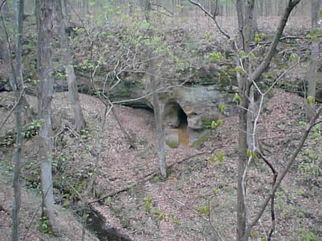 Wildcat Hollow, ravine, 18 Apr 2003 by sedge713