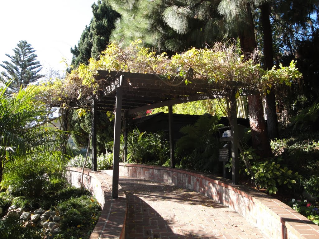 Shaded Walkway at the Lake Shrine by Alan Fogelquist