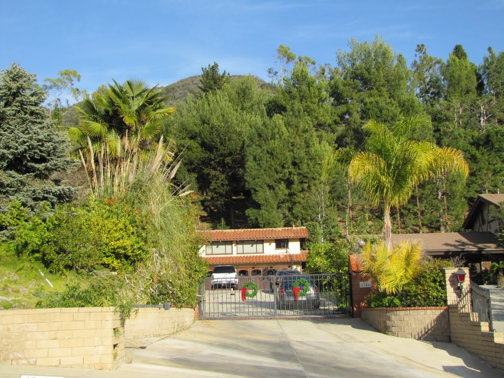 Pacific Palisades Hillsides by Alan Fogelquist