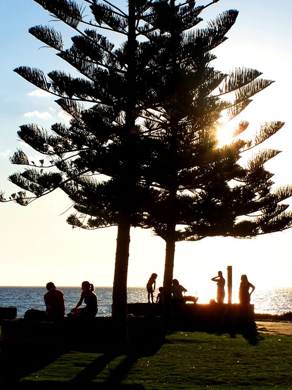 Beachfront, Fremantle by anigozanthos