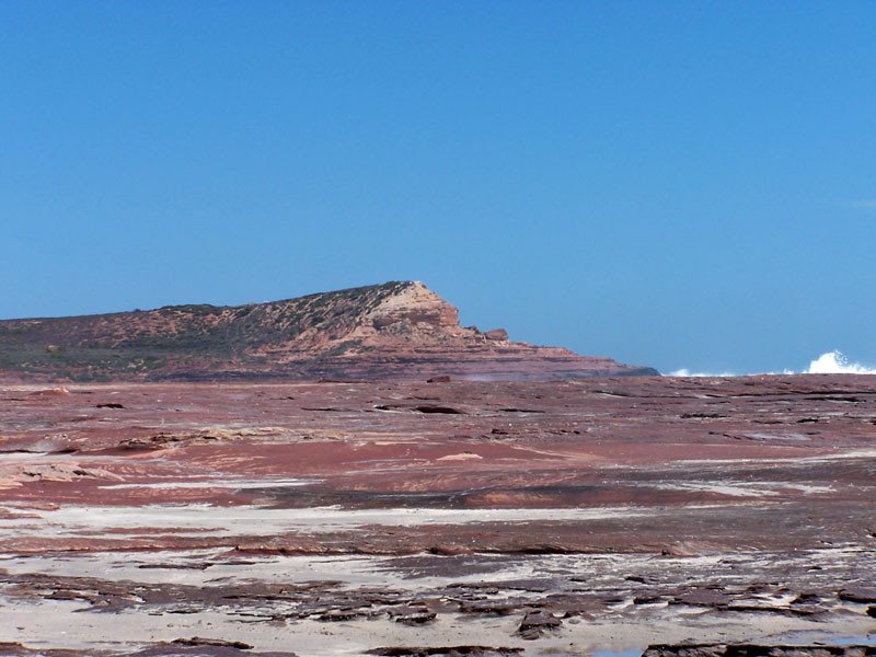 Red Bluff, Kalbarri by anigozanthos