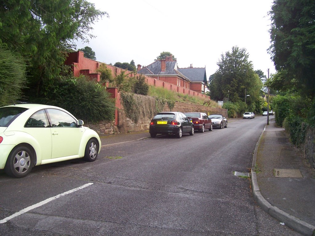 The Avenue by A Photographer