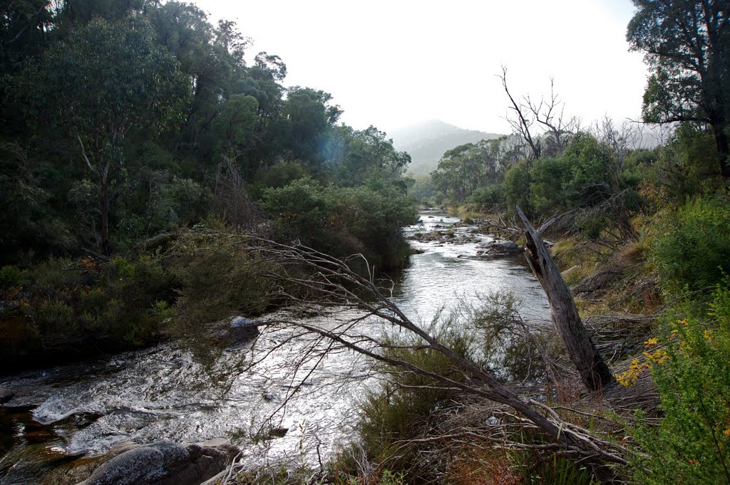 Murray River, Tom Groggin by James Steele