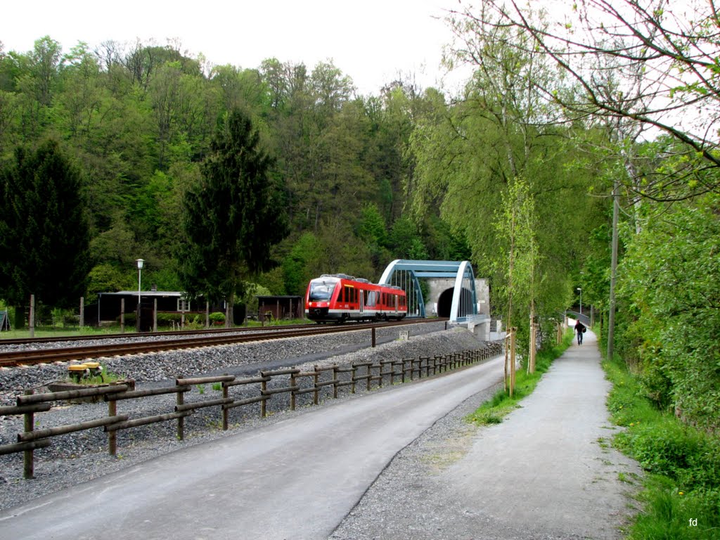 Eisenbahnbrücke und Tunnel by Friedhelm Dröge