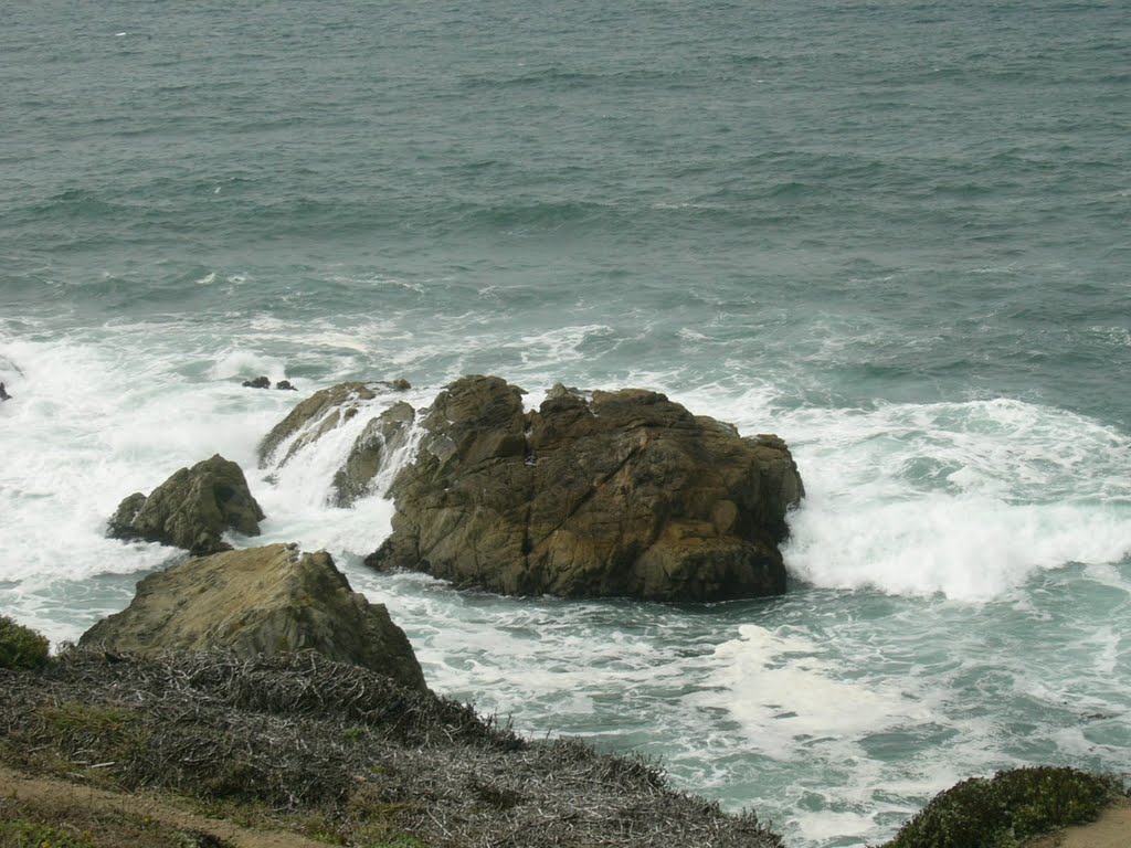 Bodega Bay California by Jamie Cane