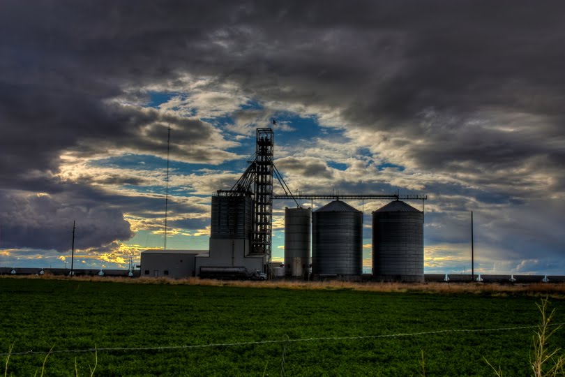 Lynndyl agricultural complex by spencer baugh