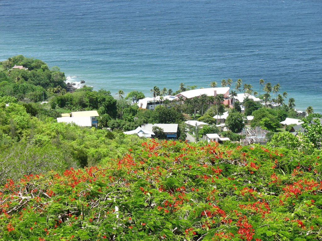 View from Fort King George - Hotels Half Moon Blue and Blue Haven by Juha Luoma