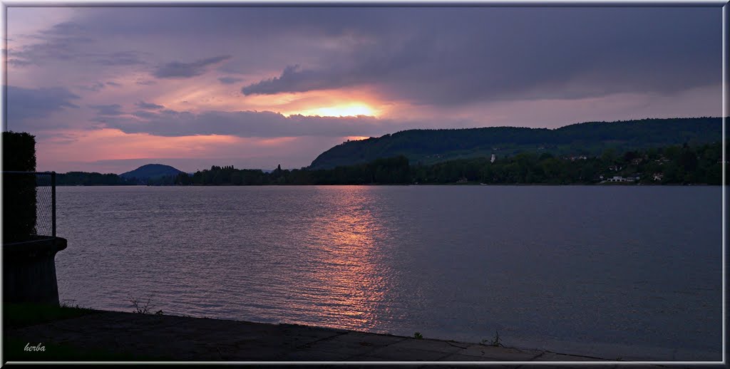 Am Untersee in Mammern, Schweiz by herba