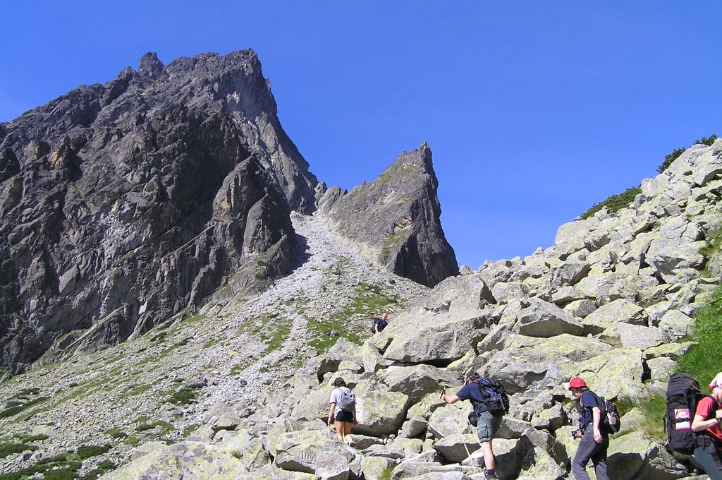 Prostredný hrot (2441m) a Žltá stena (2182m) by Mike747