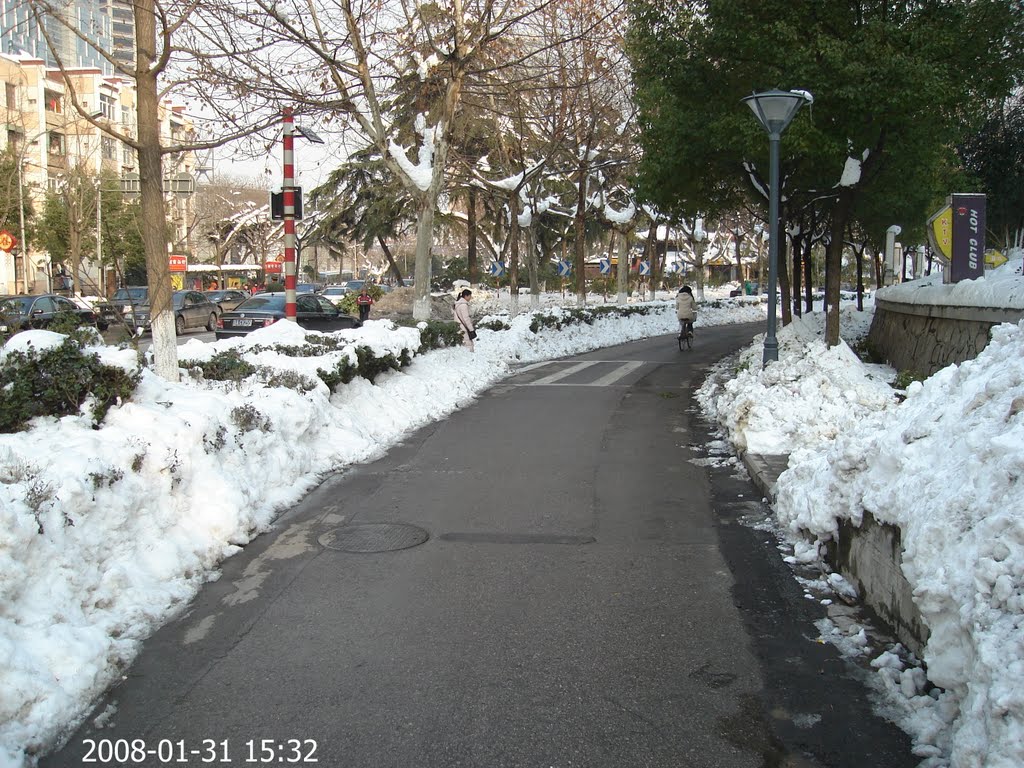 2008年南方雪灾 南京市区的路边都是雪 QQ:1115952040 by 五湖四海