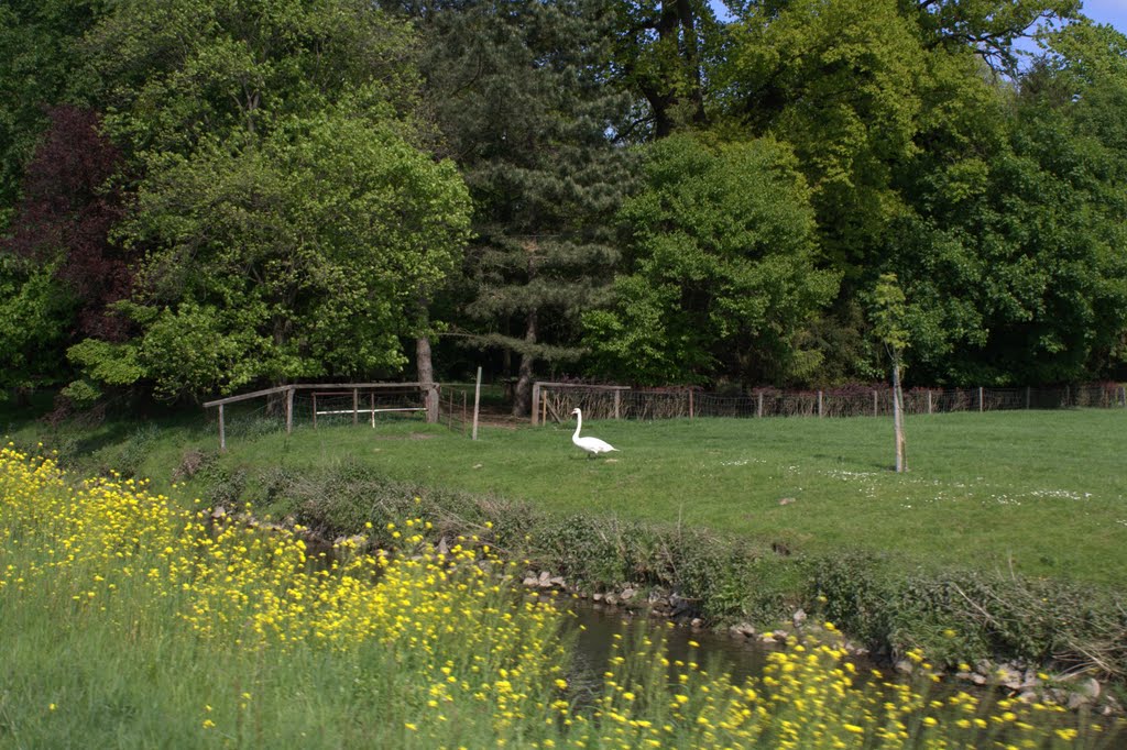 Die Wurm zwischen Geilenkirchen und Schloß Trips by GTeschke