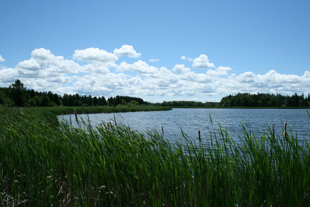 Amherst Migratory Bird Sanctuary by brianscottpettigrew