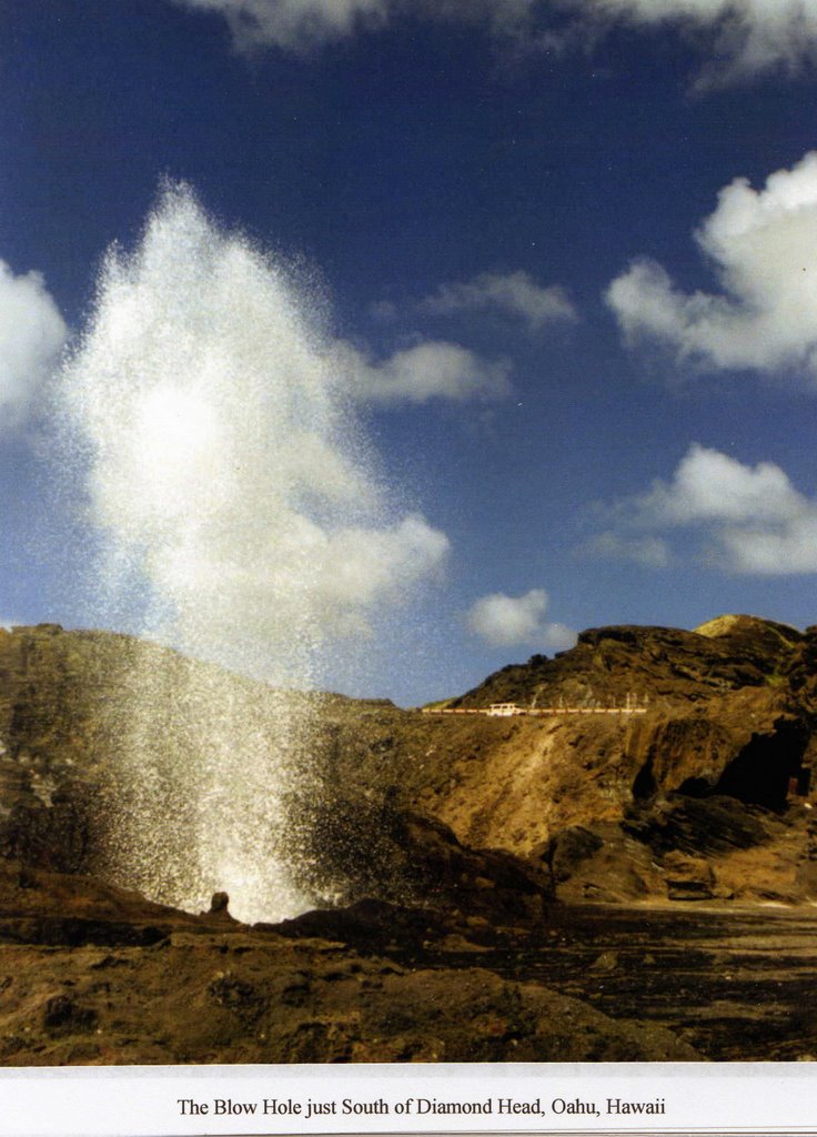 Blowhole by H.D.Pat