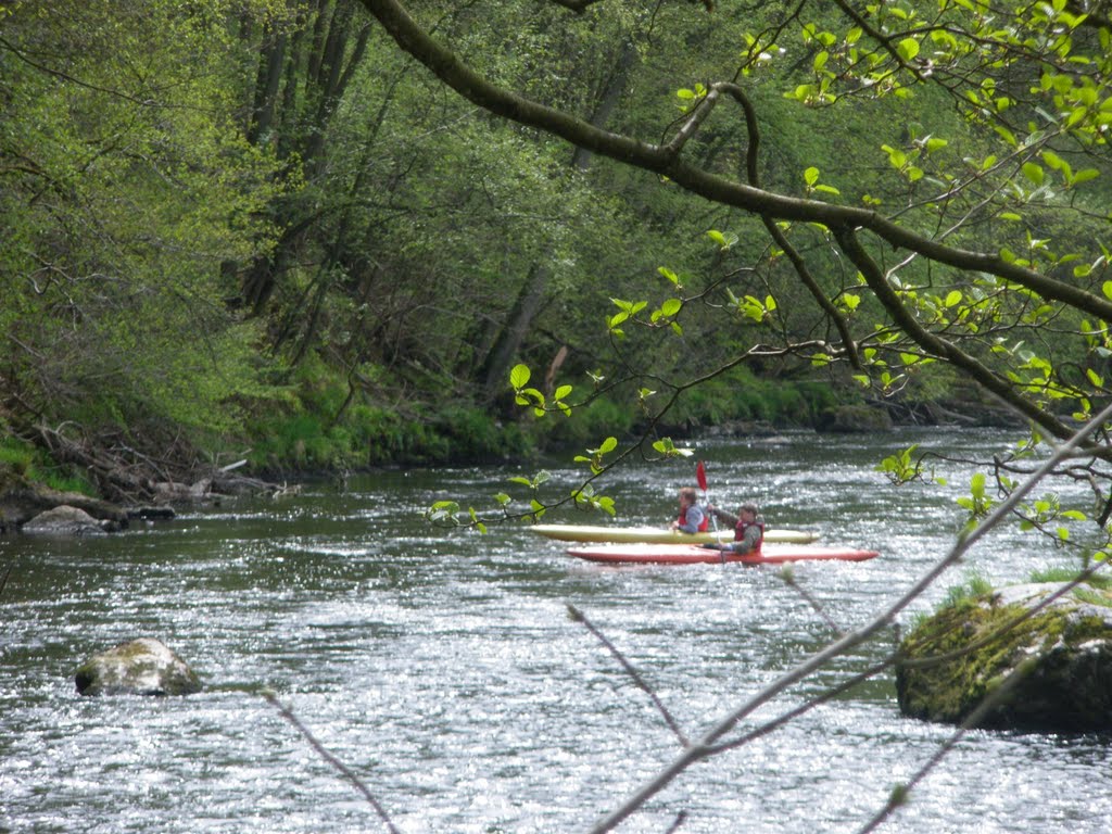 Kayaking Ambleve by rob_houtkamp