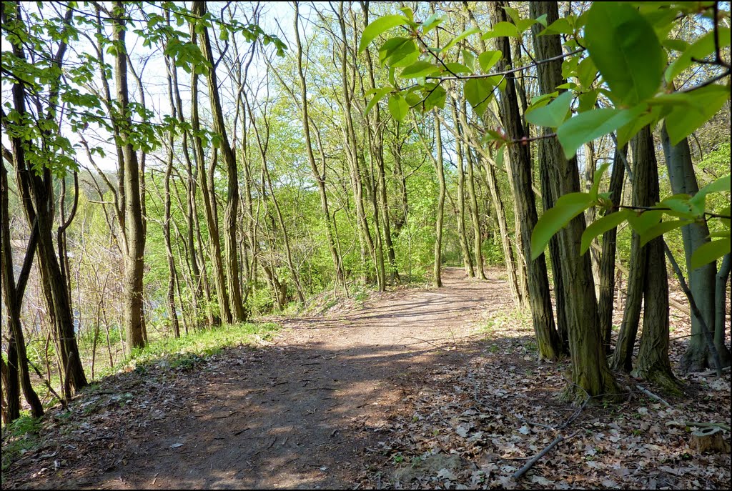 Uferweg am Teltowkanal in Kleinmachnow im Landkreis Potsdam-Mittelmark. by Ralf Pätzold, Berlin