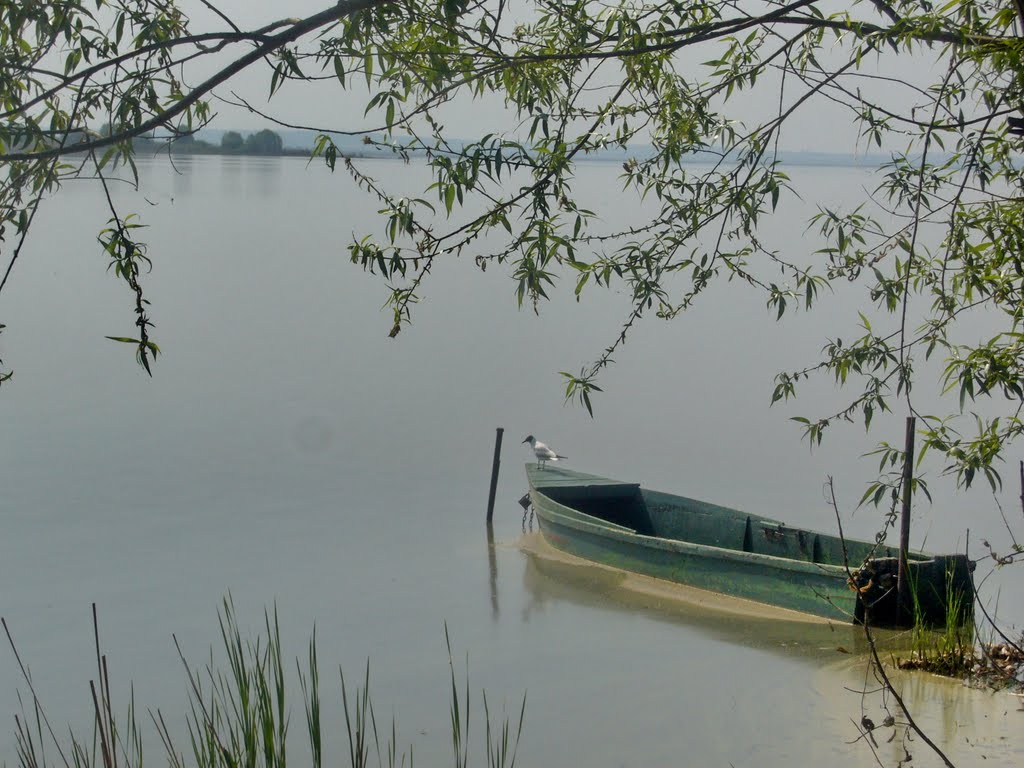 Ростов Великий Lake Nero by Yanat