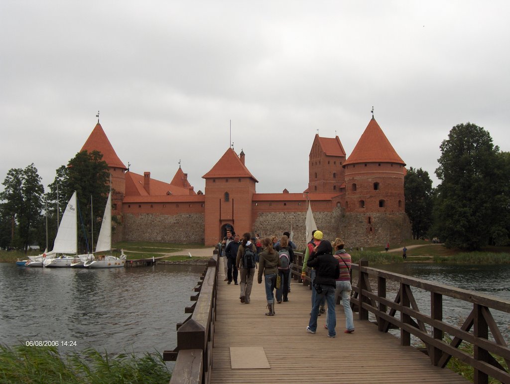 Trakai Castle (outside view) by framant