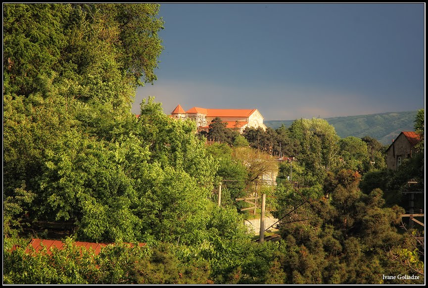 View From My Window - By Ivane Goliadze by Ivane Goliadze