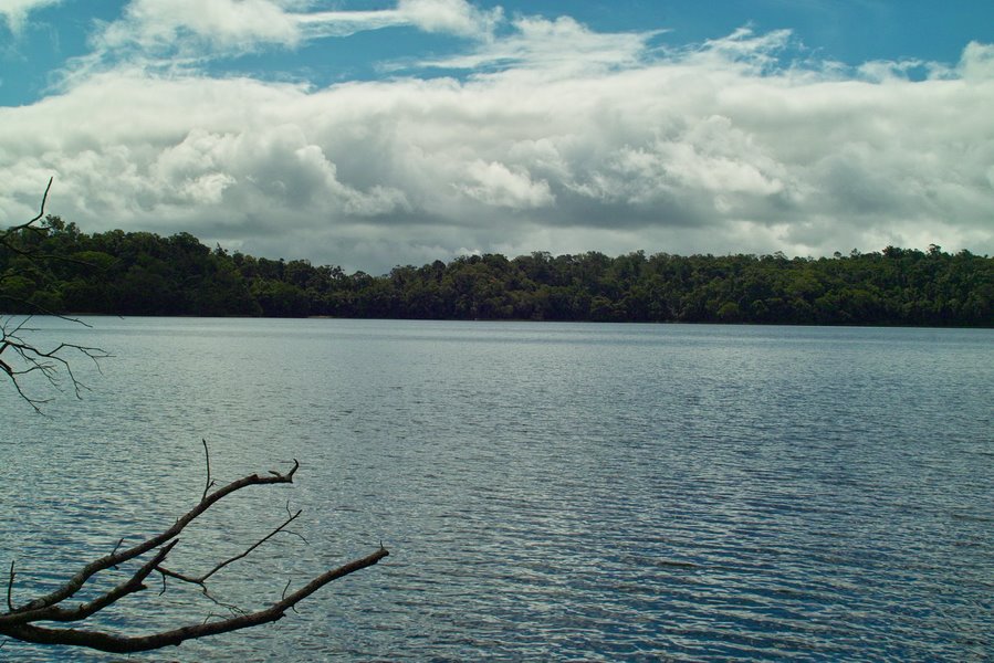 Lake Barrine by BerHav