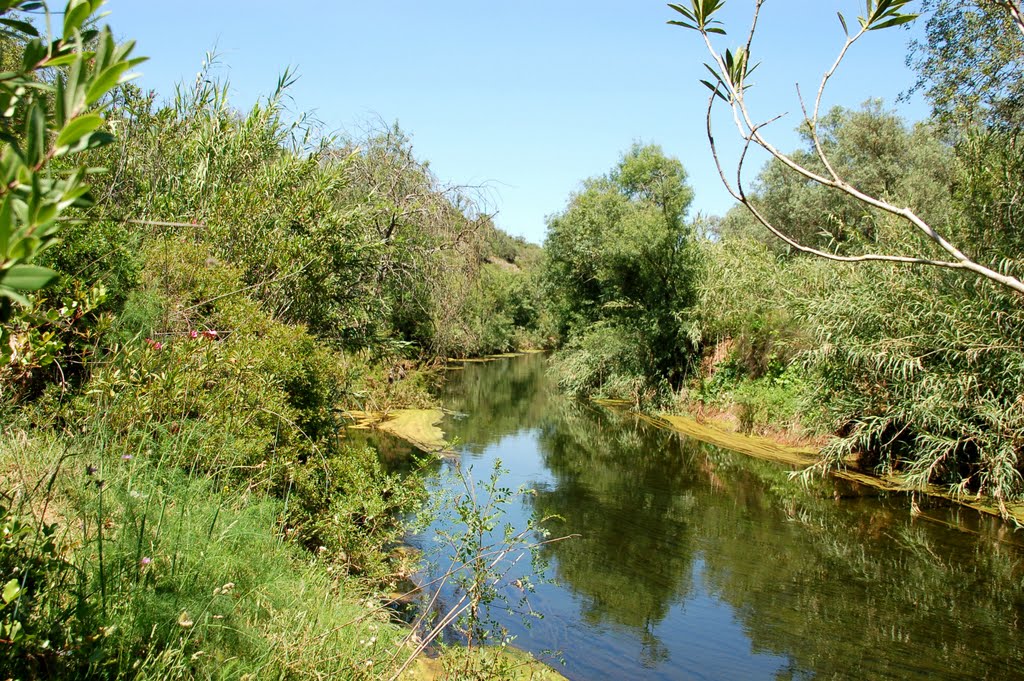 Ribeira de Quarteira em Paderne by belchior