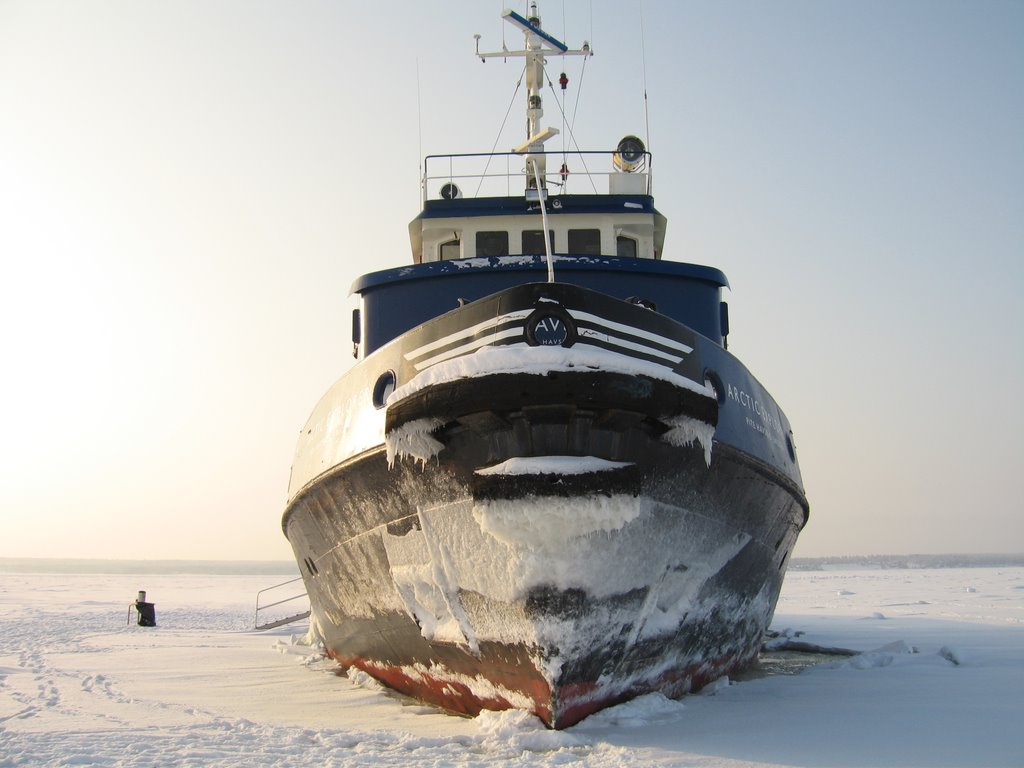 Arctic Explorer, on the Ice by Gunar Wünsch