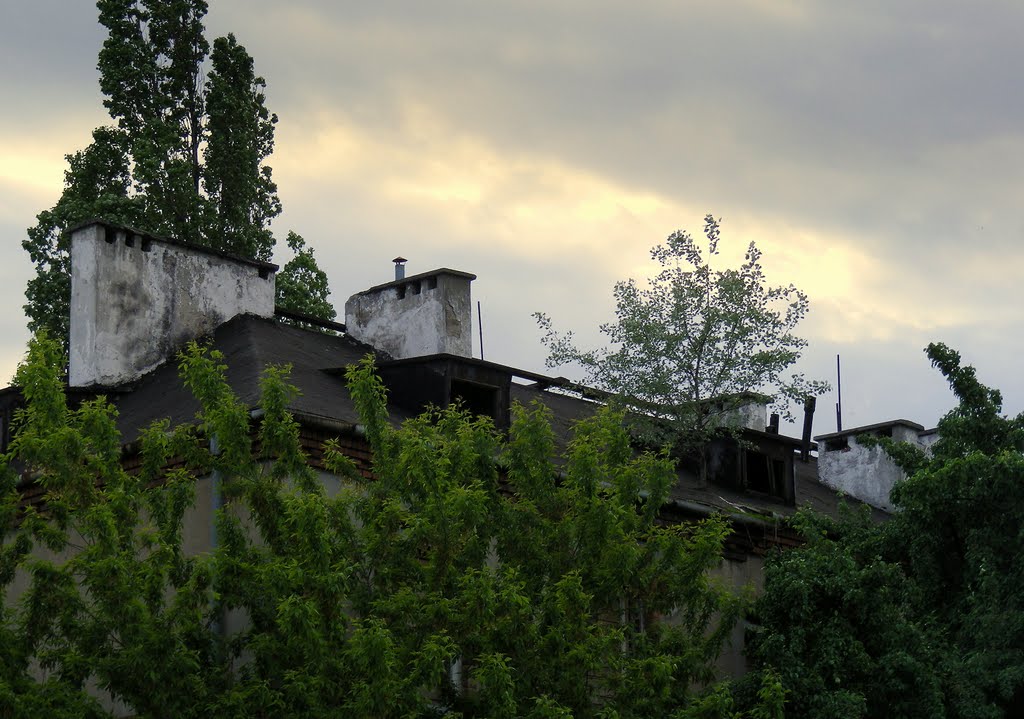 20.05.2010, roof by urbanskicbn