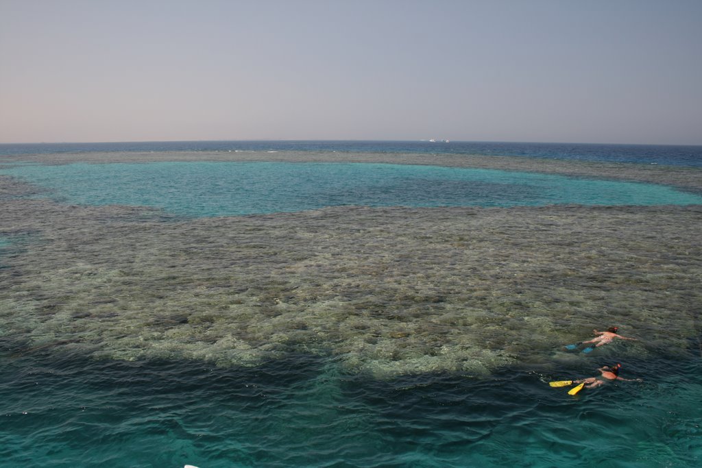 Gamul Kebir - phantastic snorkeling by Dieter Hoffmann