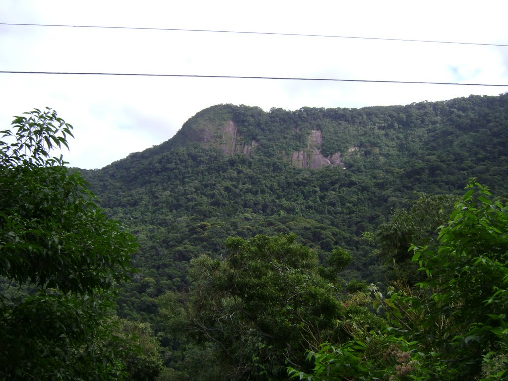 Morro do Ferreira (trilha de Dois Rios) by Giuliano Novais