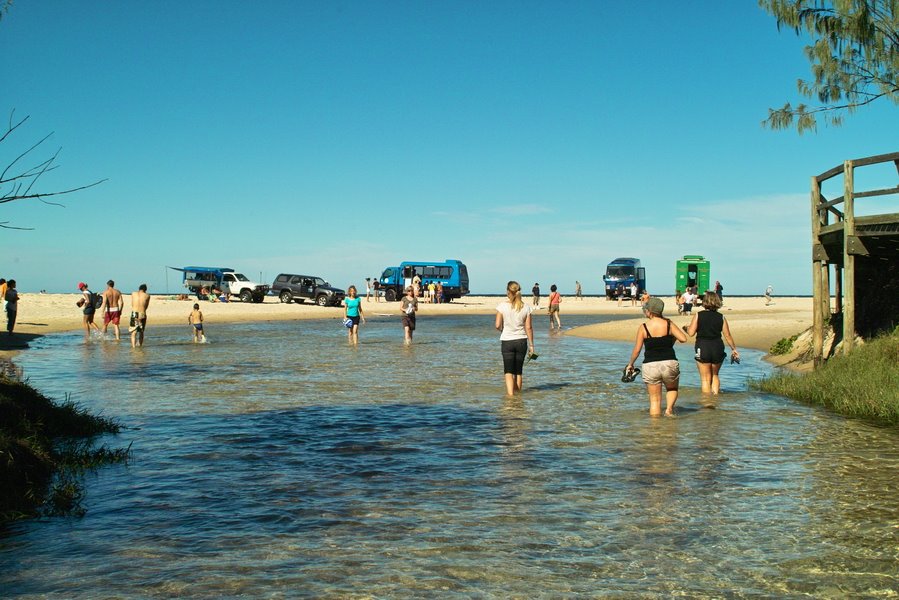 Fraser Island - Eli Creek by BerHav