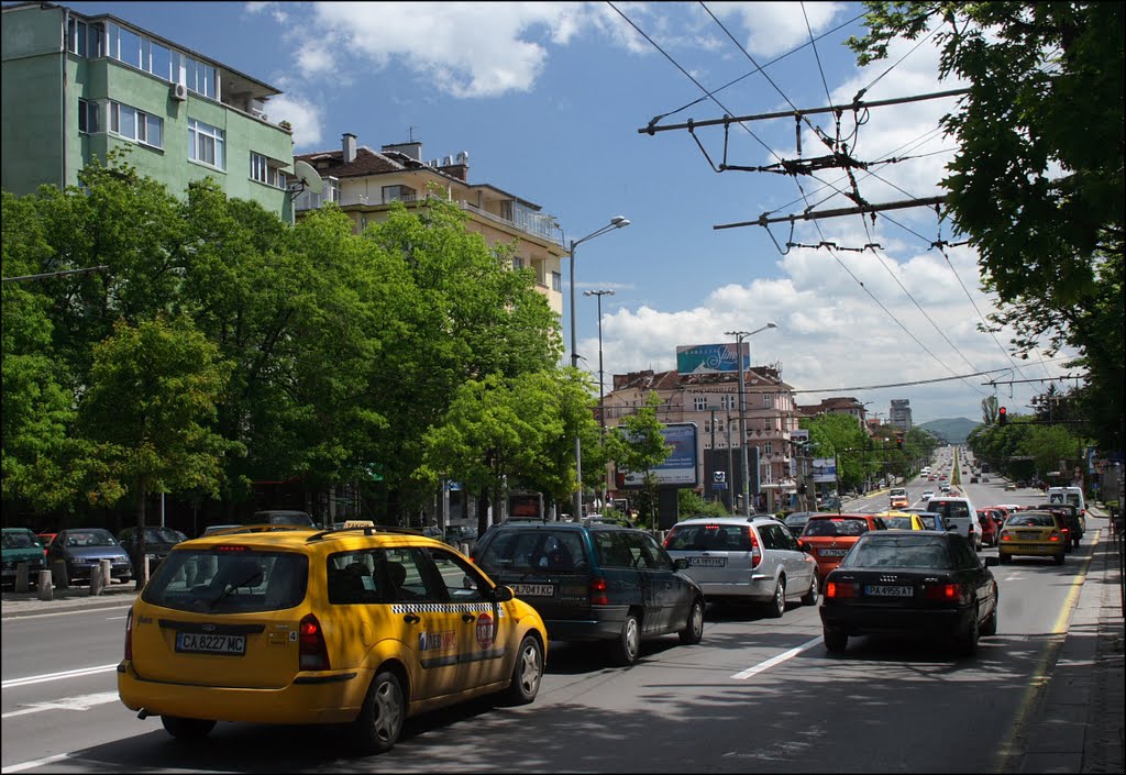 Tsarigradsko Road 16.05.10 by Aleksander Nikolov