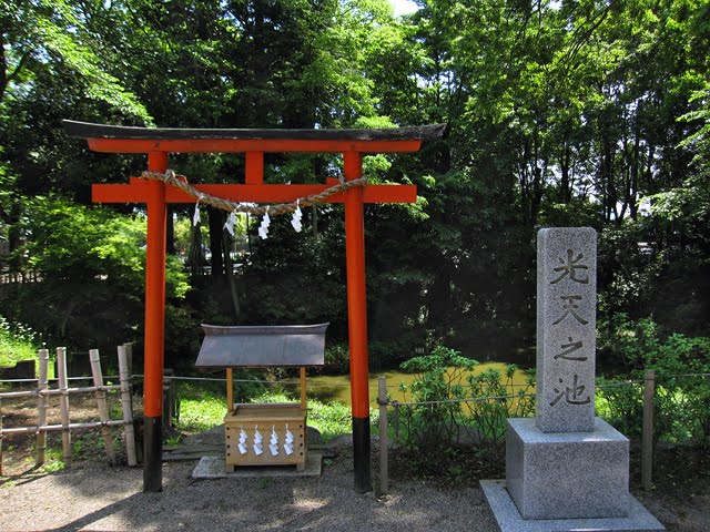 Washinomiya 鷲宮神社 by beya_conger