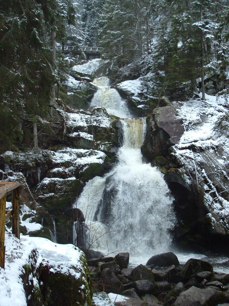 Wasserfall in Triberg, Schwarzwald by anarb